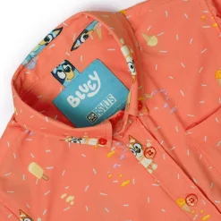 Bluey|Preschool (2t-5t)|Bluey 