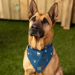 Dog Bandanas|Accessories|RSVLTS Duck, Duck, Dog! – Dog Bandana