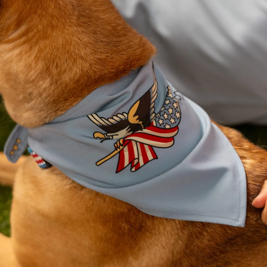 Dog Bandanas|Accessories|RSVLTS Free Bird – Dog Bandana