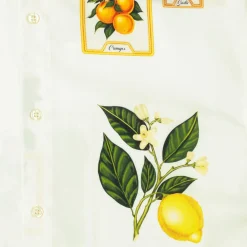 Short Sleeve Shirts|Short Sleeves|RSVLTS Grandma’s Kitchen – KUNUFLEX Short Sleeve Shirt