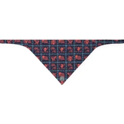 Dog Bandanas|Accessories|RSVLTS Grillaxin’ – Dog Bandana