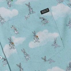 Looney Tunes|Warner Bros.|Looney Tunes 