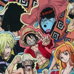 Anime|One Piece|One Piece 