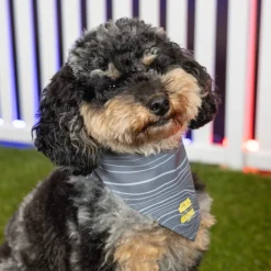 Dog Bandanas|The Mandalorian|Star Wars ™ Mandalorian™ "Beskar Steel" – Dog Bandana