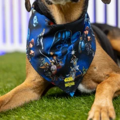 Dog Bandanas|Star Wars|Star Wars ™ 