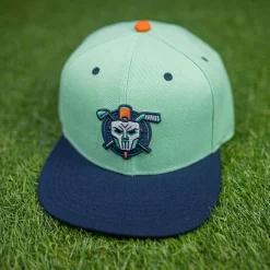 Nickelodeon|Accessories|Nickelodeon TLB New York Vigilantes – Snapback Cap